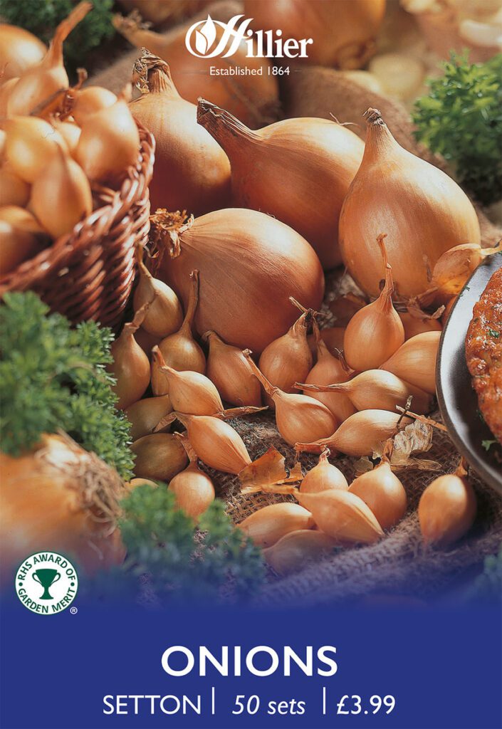 Setton Onion Sets 8718641999318 2